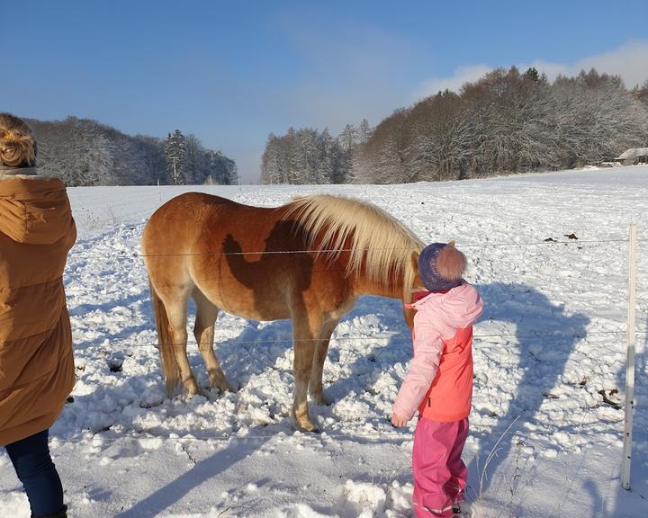 Zum Limousinhof